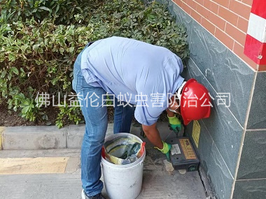高明安装灭鼠器工程