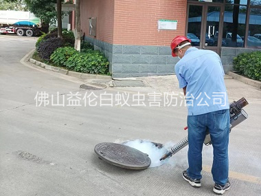 三水杀灭蟑螂蚊蝇工程